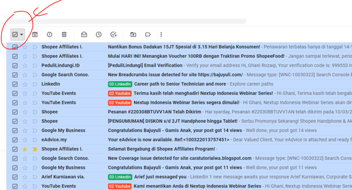 centang semua email yang belum terbaca di GMail