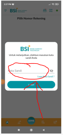 Input password Mobile Banking BSI