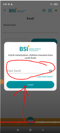 Input password BSI Mobile