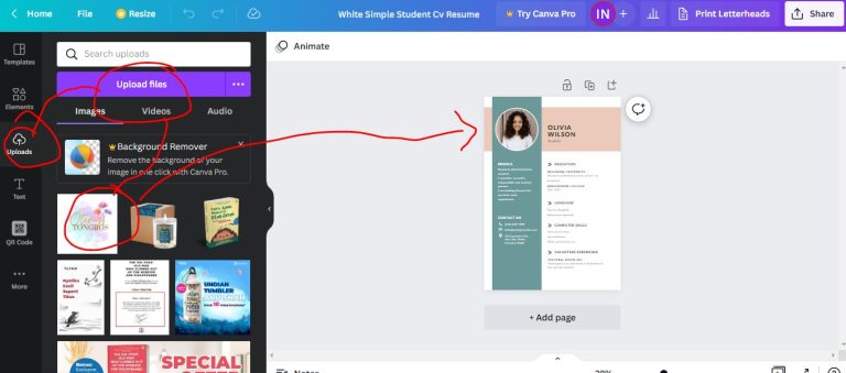 Cara Membuat Cv Di Canva Gratis Tongbos